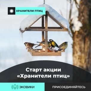 Сделайте  правильную кормушку и помогите пернатым зимой.