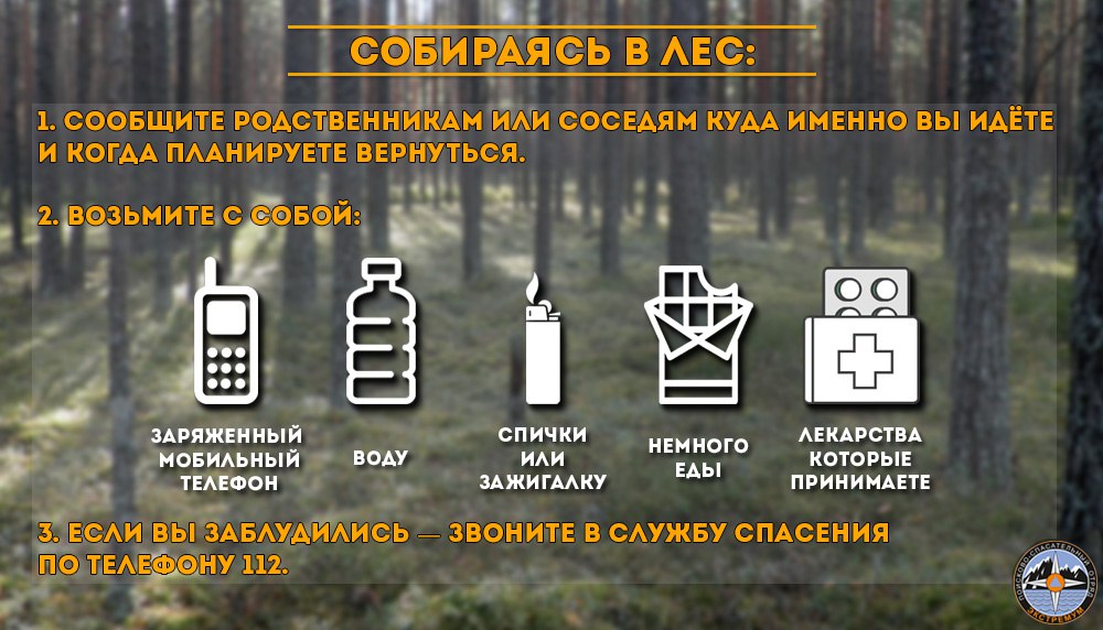 ОМВД Росси по Нюксенскому району информирует граждан о правилах поведения в лесу..