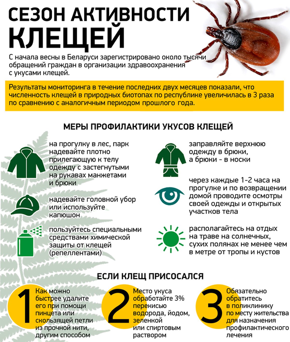 «Об обращаемости населения в связи с присасыванием клещей по состоянию на 10.07.2023г.».