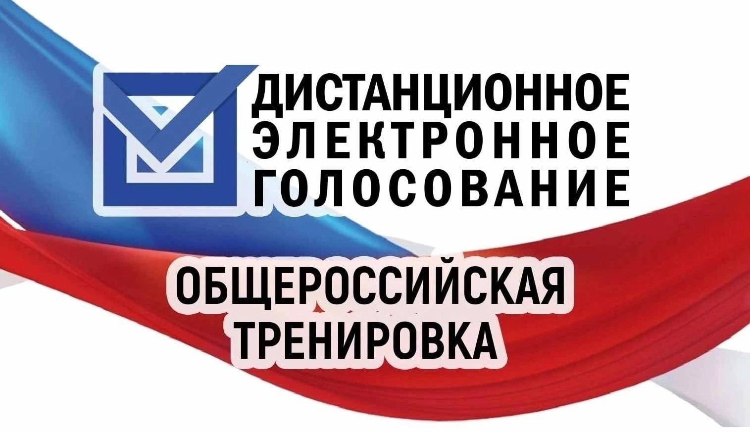 Вологодская область принимает участие в общероссийской тренировке дистанционного электронного голосования.