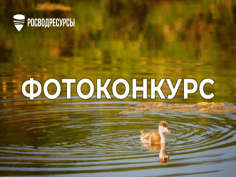 Приглашаем принять участие в фотоконкурсе.