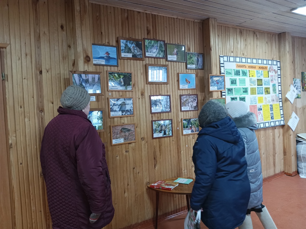 Фотовыставка &quot;Пернатые соседи&quot;.