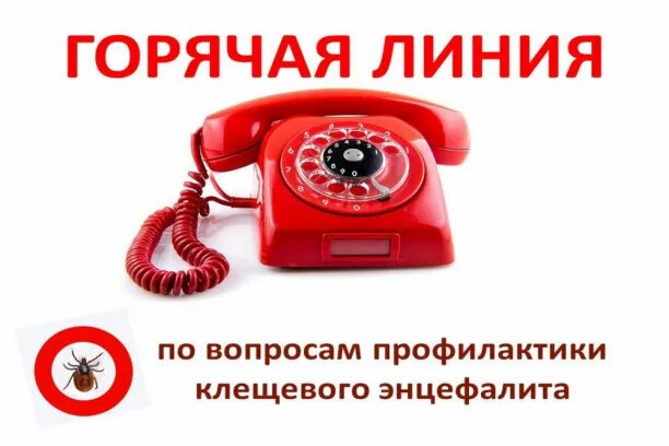 Внимание! С 28 апреля по 11 мая проводится горячая линия по профилактике клещевого энцефалита и инфекций, передающихся клещами!.