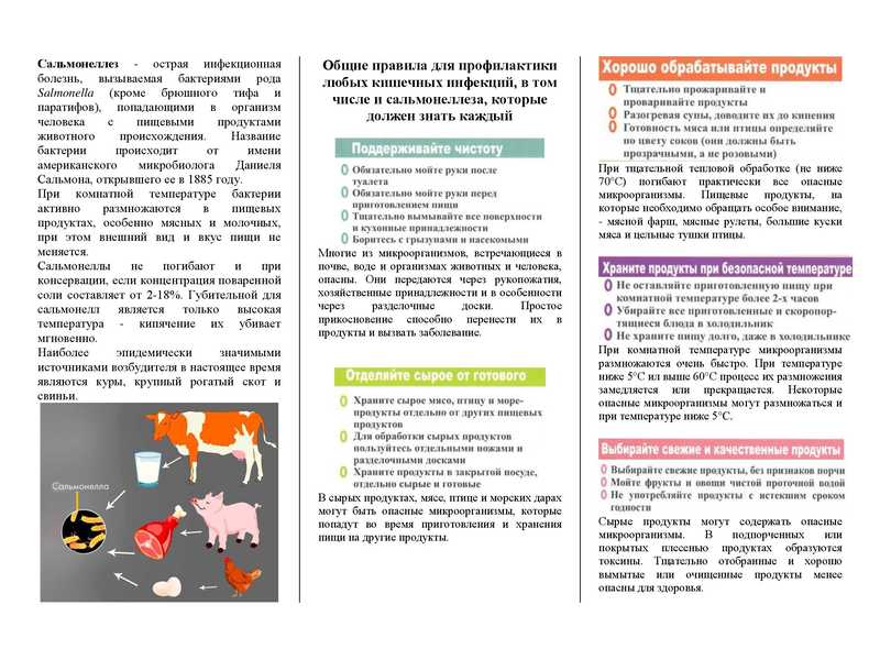 Тотемский территориальный отдел Управления Роспотребнадзора по Вологодской области напоминает о мерах профилактики сальмонеллёза..