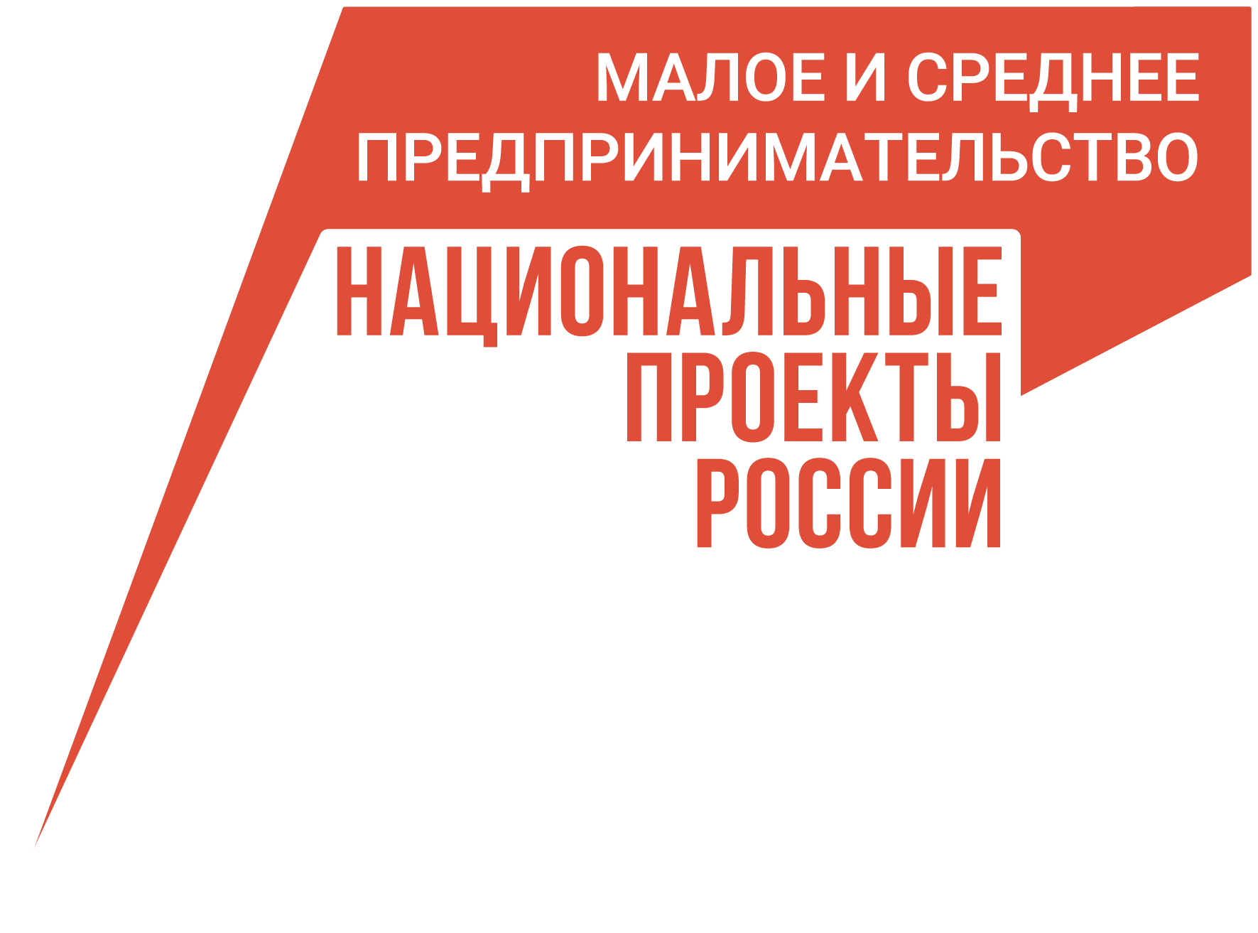 Череповецкий предприниматель смогла привлечь заемное финансирование в бизнес благодаря нацпроекту.