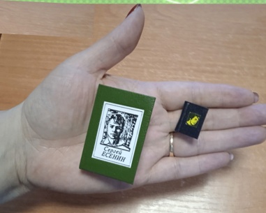 А вы видели книгу на ладони?. А вы видели книгу на ладони?.