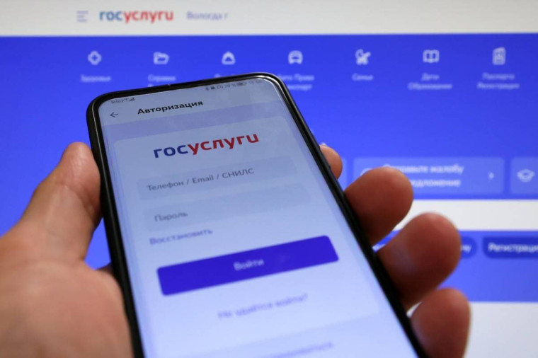 Вологжане могут подать документы в вуз на портале «Госуслуги». Вологжане могут подать документы в вуз на портале «Госуслуги».