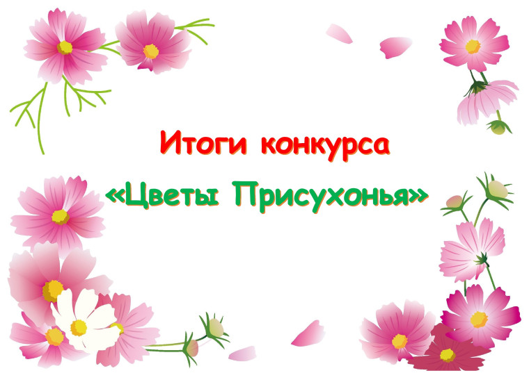 Итоги конкурса "Цветы Присухонья". Итоги конкурса "Цветы Присухонья".