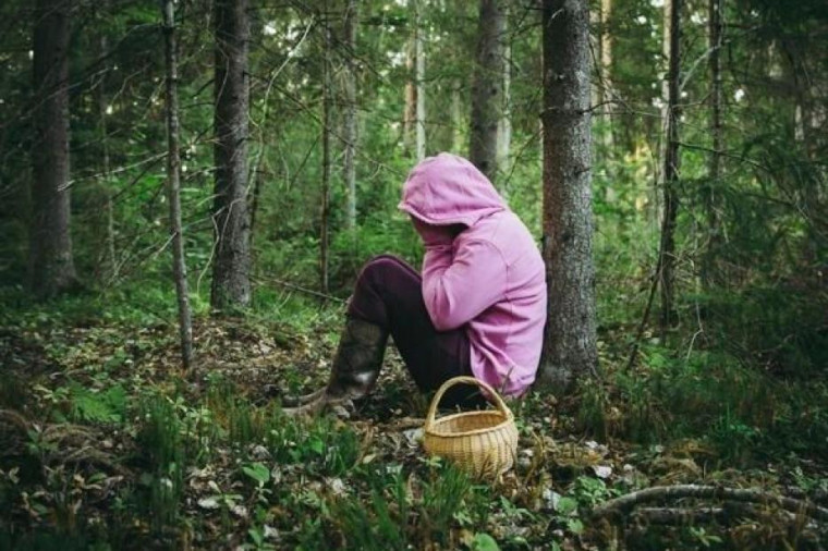 Как не заблудиться в лесу. Как не заблудиться в лесу.