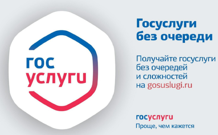 Массовые социально значимые услуги можно получить через портал Госуслуг. Массовые социально значимые услуги можно получить через портал Госуслуг.