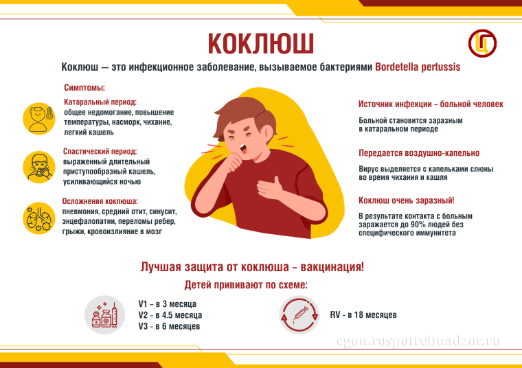 Профилактика коклюша. Профилактика коклюша.