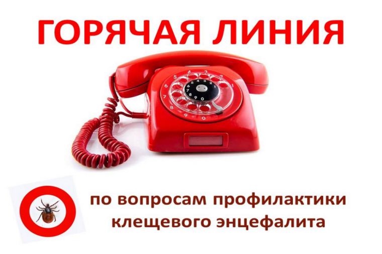 Внимание! С 30 апреля по 13 мая проводится горячая линия по профилактике инфекций, передающихся клещами!. Внимание! С 30 апреля по 13 мая проводится горячая линия по профилактике инфекций, передающихся клещами!.