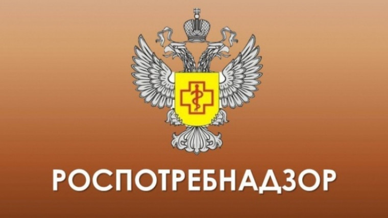 Пневмония как наиболее частое осложнение гриппа, ОРВИ и коронавирусной инфекции. Пневмония как наиболее частое осложнение гриппа, ОРВИ и коронавирусной инфекции.