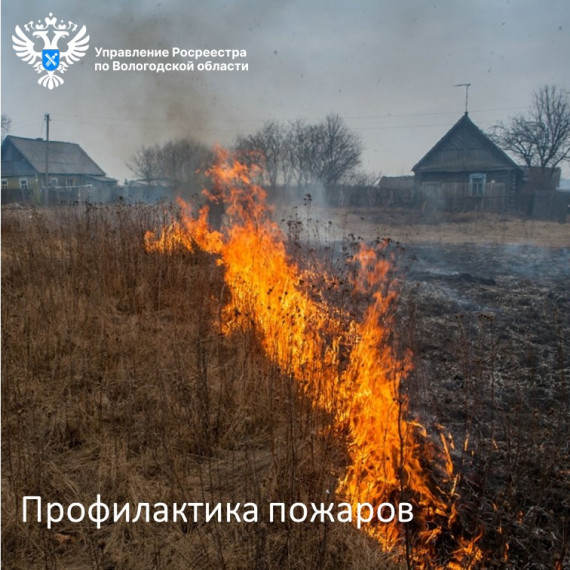На страже природы: в Вологодском Росреестре напомнили о необходимости соблюдения мер пожарной безопасности на землях сельскохозяйственного назначения. На страже природы: в Вологодском Росреестре напомнили о необходимости соблюдения мер пожарной безопасности на землях сельскохозяйственного назначения.