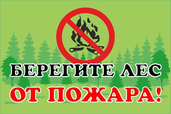 ПРИЧИНЫ ВОЗНИКНОВЕНИЯ ЛЕСНЫХ ПОЖАРОВ. ПРИЧИНЫ ВОЗНИКНОВЕНИЯ ЛЕСНЫХ ПОЖАРОВ.