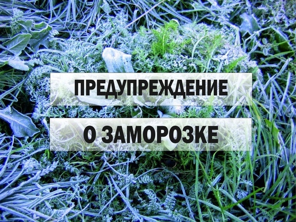 ВНИМАНИЕ!!!. ВНИМАНИЕ!!!.