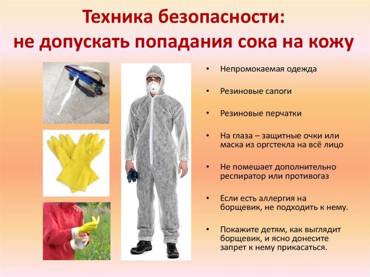 Рекомендации по борьбе с борщевиком Сосновского в личных подсобных хозяйствах. Рекомендации по борьбе с борщевиком Сосновского в личных подсобных хозяйствах.