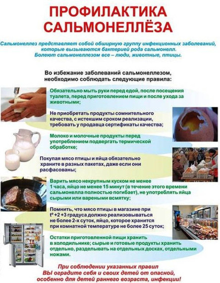 Профилактика сальмонеллеза. Профилактика сальмонеллеза.